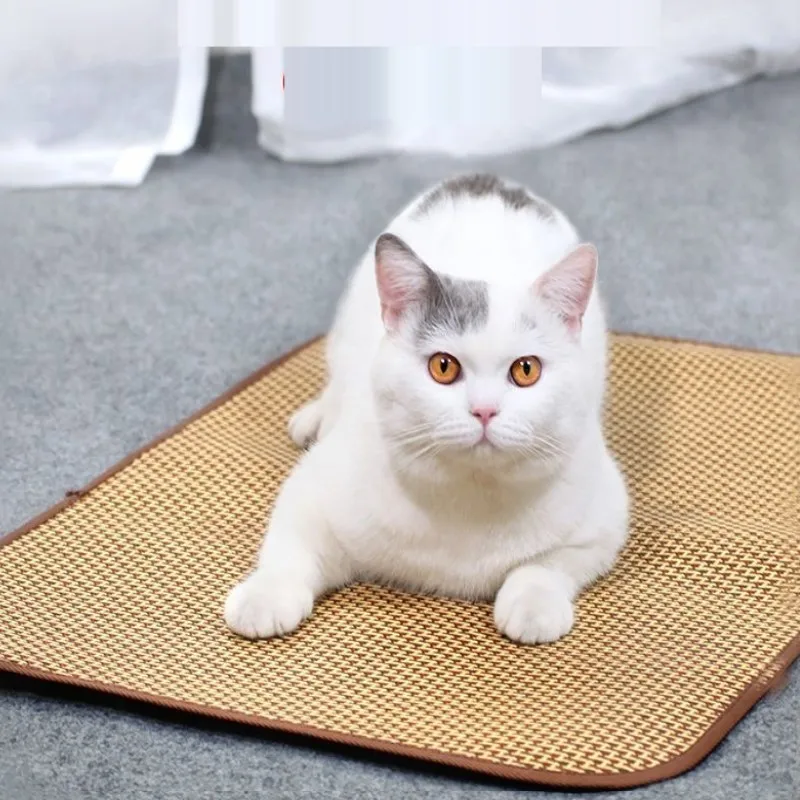 Dog Cooling Mat Summer Pet Cold Bed Extra Large For Small Medium Large Dogs Cats Pets Pet Ice Pad Dog Bed Cat Bed Pet bed Dog Cooling Mat Summer Pet Cold Bed Extra Large For Small Medium Large Dogs Cats Pets Pet Ice Pad Dog Bed Cat Bed Pet bed