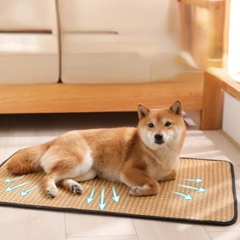 Dog Cooling Mat Summer Pet Cold Bed Extra Large For Small Medium Large Dogs Cats Pets Pet Ice Pad Dog Bed Cat Bed Pet bed Dog Cooling Mat Summer Pet Cold Bed Extra Large For Small Medium Large Dogs Cats Pets Pet Ice Pad Dog Bed Cat Bed Pet bed