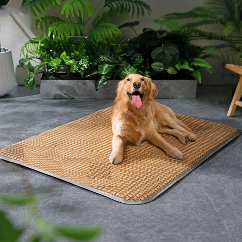 Dog Cooling Mat Summer Pet Cold Bed Extra Large For Small Medium Large Dogs Cats Pets Pet Ice Pad Dog Bed Cat Bed Pet bed Dog Cooling Mat Summer Pet Cold Bed Extra Large For Small Medium Large Dogs Cats Pets Pet Ice Pad Dog Bed Cat Bed Pet bed