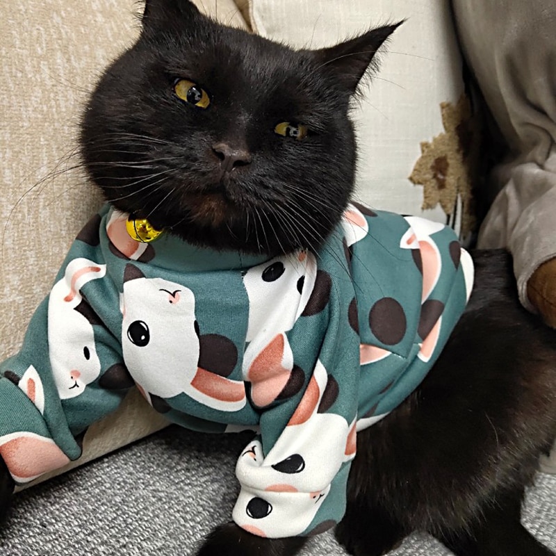 Cat's Colorful Print Sweatshirt